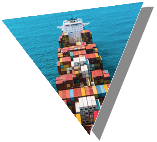 Triangle report cover EMEA Census
